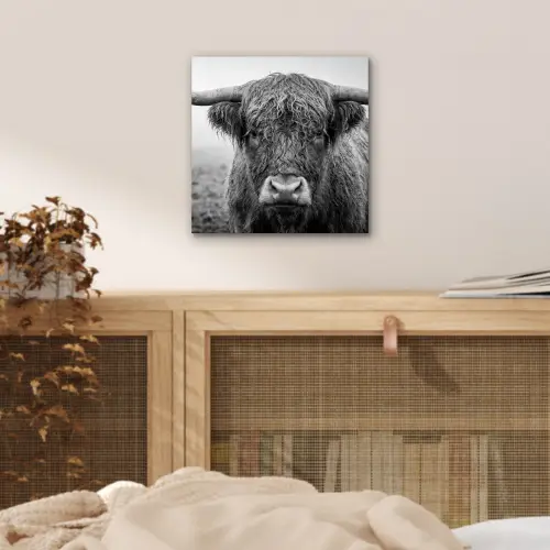 Schotse hooglander - Zwart - Wit - Gras aluminium wit klein -sfeer3