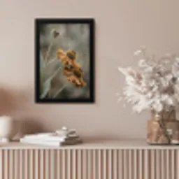 Zonnehoed - Droogbloemen - Geel - Warm fotolijst zwart zonder passe partout klein -sfeer5
