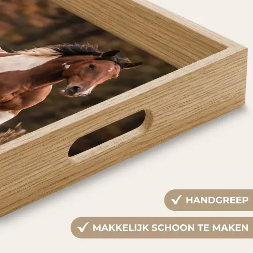 Paard - Bruin - Gras Dienblad Rechthoek middel -USP_HandgreepNL