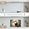 Toekan - Vogel - Bloemen - Planten keuken achterwand spatscherm klein -voor_na_NL
