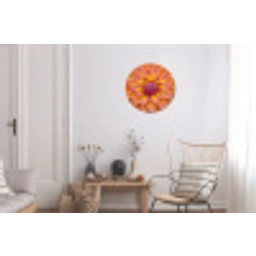 Dahlia - Bloem - Oranje Wandcirkel aluminium klein -woonkamer