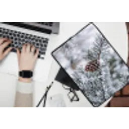 Dennenappel - Tak - Sneeuw - Winter - Sfeervol laptophoes neopreen klein -bureau