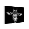 Giraffe - Portret - Dieren - Zwart - Wit aluminium wit klein -3d