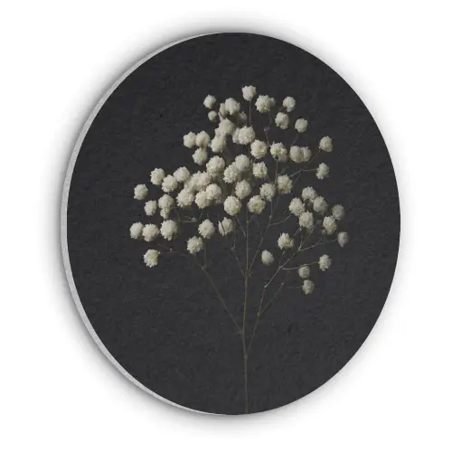 Gipskruid - Bloemetjes - Wit - Minimalistisch Akoestische PET Vilt - Rond klein -3d