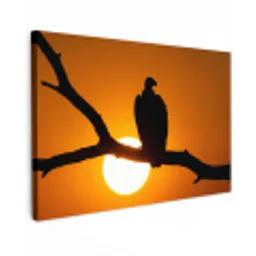Gier - Tak - Zon - Oranje canvas 2cm klein -z3d