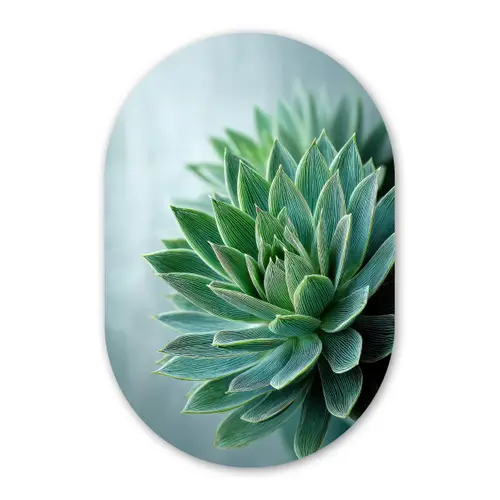 Vetplant - Bladeren - Groen - Wazig Wandcirkel Ovaal Forex klein -3d