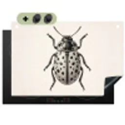 Kever - Insect - Vintage Inductie beschemer met haakjes klein -3d
