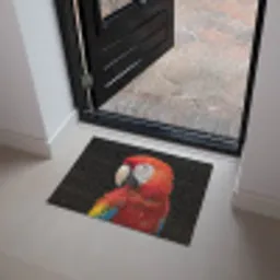 Ara - Portret - Rood Deurmat klein -sfeer5