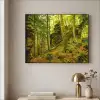 Bomen - Steen - Bos - Natuur - Planten Textielframe zwart klein -sfeer2