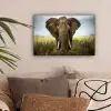 Olifant - Natuur - Gras - Dieren - Landschap canvas 2cm klein -sfeer1
