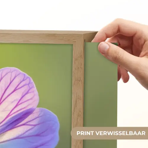 Bloem - Close up - Paars Light Box met batterij (Wandlamp) middel -USP_websiteprintNL