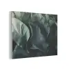 Groen - Bladeren - Glad - Nerven PET vilt klein -3d