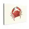 Krab - Felrood - Poten canvas 2cm klein -z3d