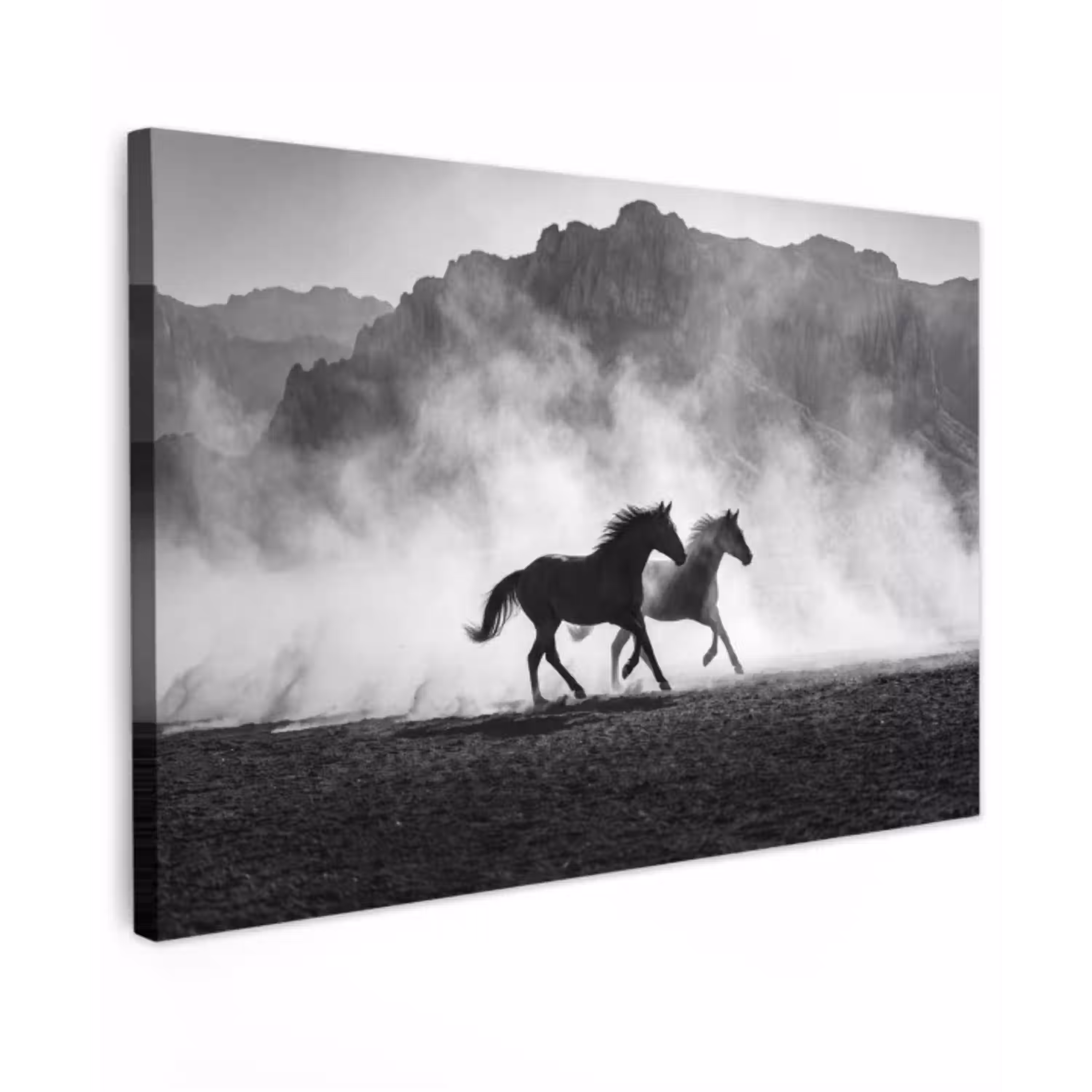 Paard - Ren - Stof - Zwart-wit - Dieren canvas 2cm klein -z3d