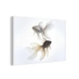 Goudvissen - Modern - Wit forex 5mm xxl -3d