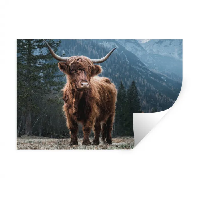 Schotse hooglander - Berg - Landschap - Bomen - Koe - Natuur Muursticker klein -3d