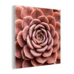 Vetplant - Organisch - Roze plexiglas 5mm klein -z3d