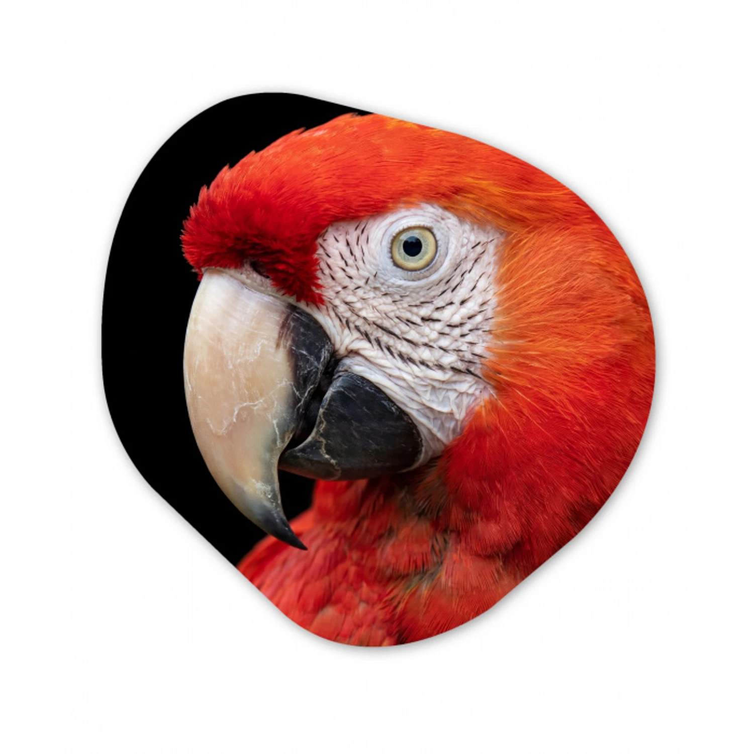 Ara - Portret - Rood Wandcirkel Organisch Aluminium middel -3d