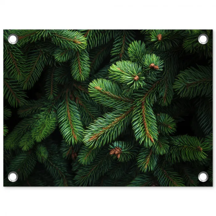 Sparrentakken - Knoppen - Naalden - Groen tuinposter los doek klein -3d