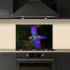 Felgekleurd - Papegaai - Bos - Vleugels keuken achterwand spatscherm klein -sfeer1