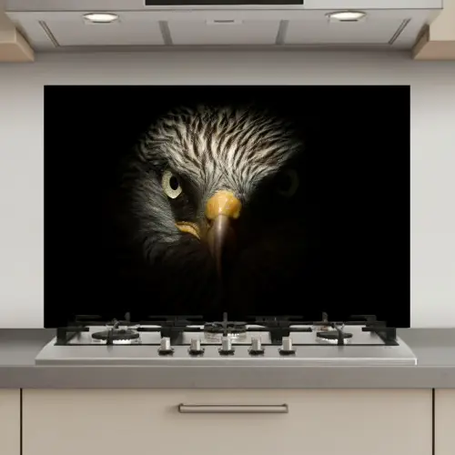 Vogel - Adelaar - Roofvogels - Oog - Snavel - Licht keuken achterwand spatscherm klein -3d_website