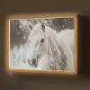 Paard - Wit - Winter - Natuur - Sneeuw - Dieren Light Box met batterij (Wandlamp) middel -z3d_website