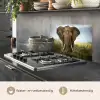 Olifant - Natuur - Gras - Dieren - Landschap keuken achterwand spatscherm klein -usp_NL