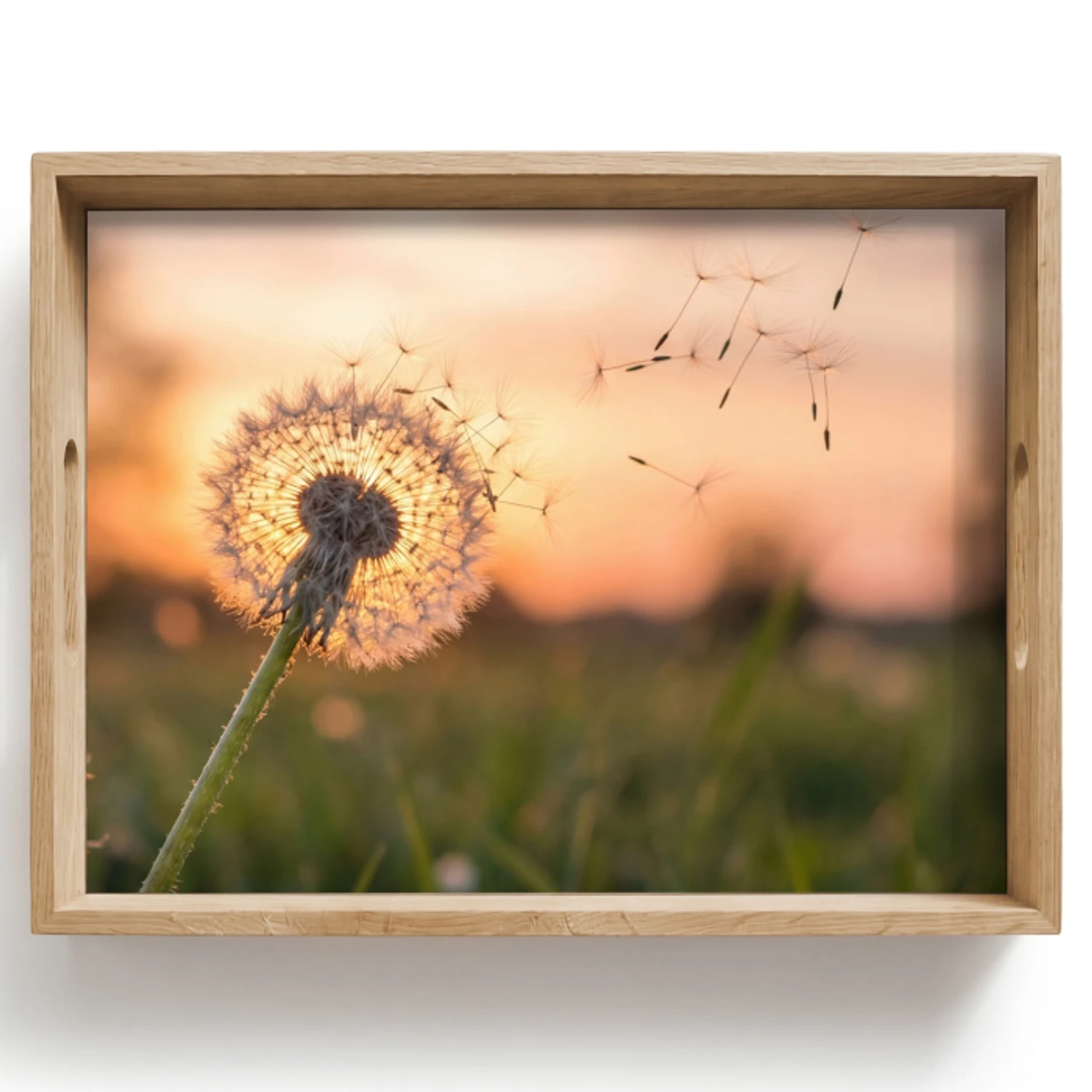 Paardenbloem - Zonsondergang - Veld Dienblad Rechthoek middel -z3d_shopping