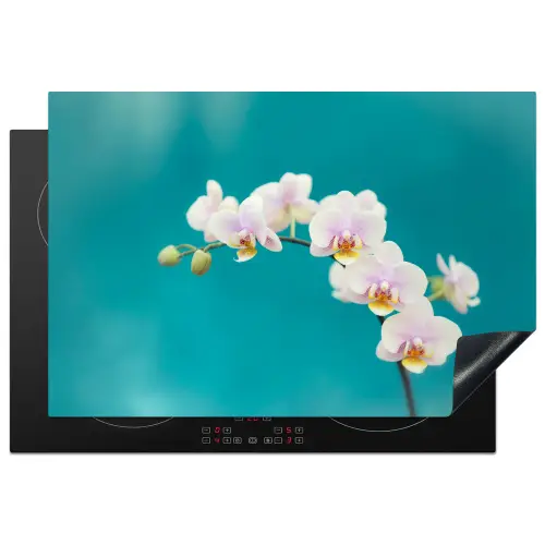Orchidee - Bloemen - Plant - Wit - Paars Inductie beschermer vinyl 3mm klein -3d