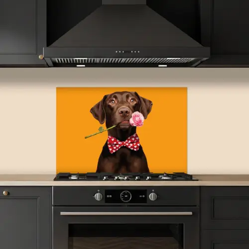 Hond - Oranje - Roos - Valentijn keuken achterwand spatscherm klein -sfeer1
