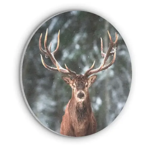 Hert - Winter - Sneeuw - Bos - Natuur - Dier Akoestische PET Vilt - Rond klein -3d