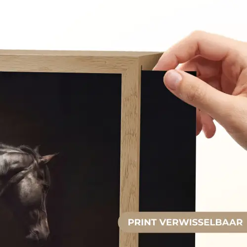 Krachtig - Paard - Donker Light Box met batterij (Wandlamp) middel -USP_websiteprintNL