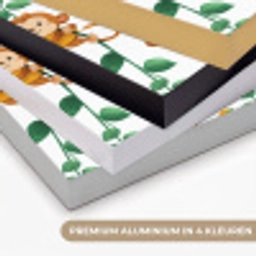 Apen - Lianen - Kleurrijk Textielframe zwart klein 947 -USP_kleurenNL