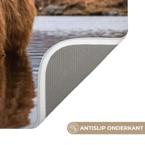 Schotse hooglander - Bruin - Water Badmat klein -USP_AntislipNL