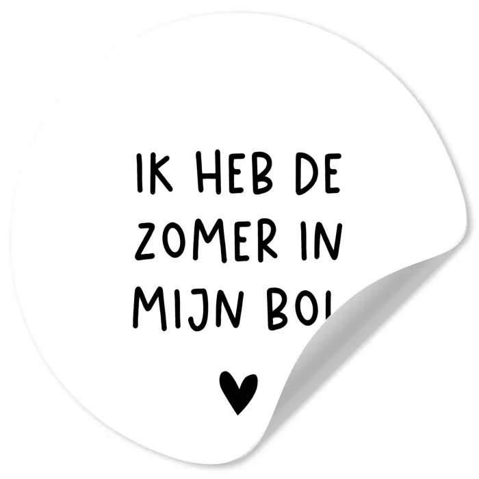 Ik heb de zomer in mijn bol - André Hazes - Spreuken - Quotes Wandcirkel behangsticker klein -3d