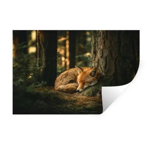 Vos - Bos - Slapen Muursticker klein -3d