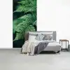Varenblad - Groen - Structuur - Wazig fotobehang vinyl groot -slaapkamer