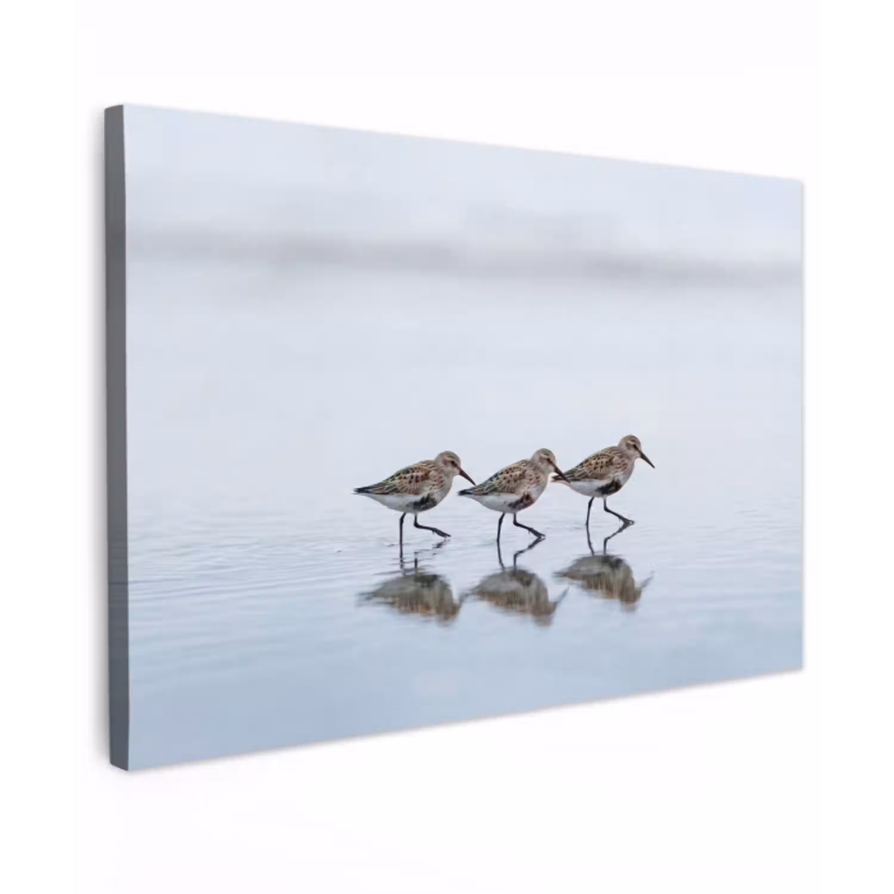 Vogels - Water - Grijs canvas 2cm klein -z3d