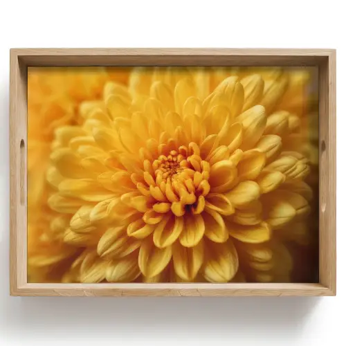 Geel - Chrysant - Zachtheid Dienblad Rechthoek middel -z3d_shopping