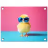 Kuiken - Zonnebril - Blauw tuinposter los doek klein -3d