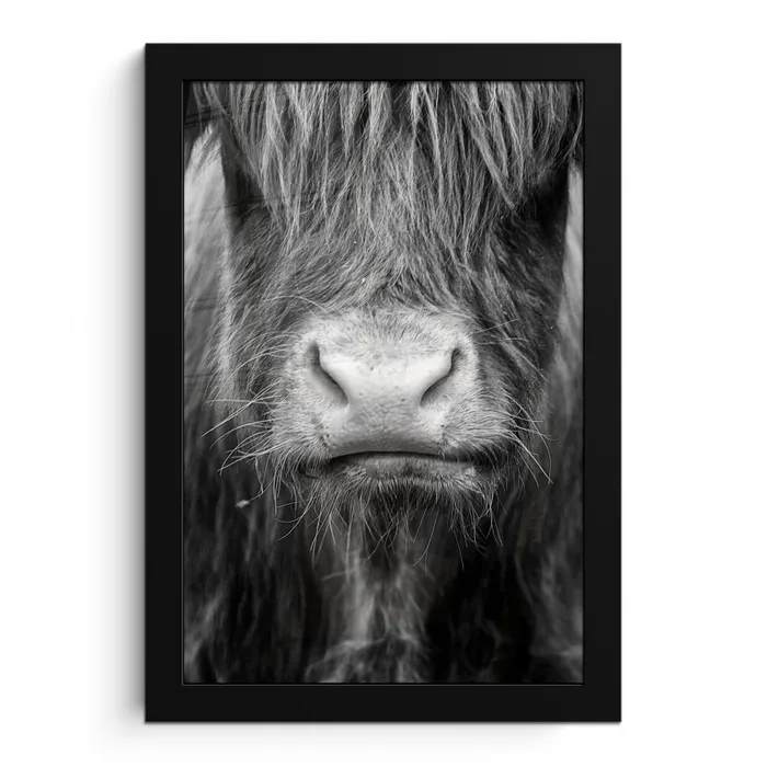 Schotse hooglander - Koe - Zwart - Wit - Dieren fotolijst zwart zonder passe partout klein -3d