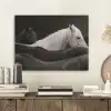 Paarden - Zwart - Wit - Kudde PET vilt klein -sfeer1