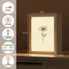 Klaproos - Illustratie - Zwart Light Box met kabel (Tafellamp) klein -USP_NL