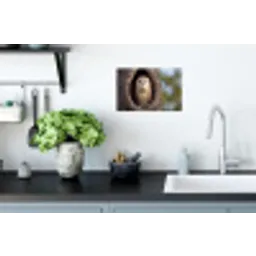 Kerkuil - Boom - Natuur - Bruin Muursticker klein -keuken