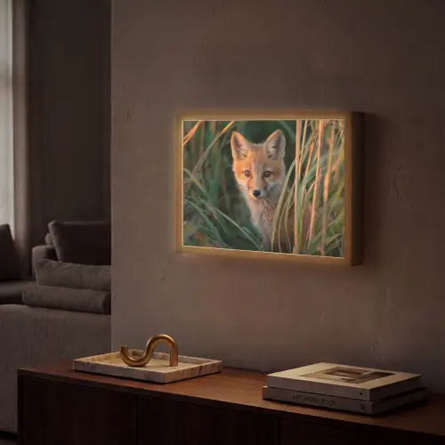 Vos - Oranje - Gras Light Box met batterij (Wandlamp) middel -sfeer1