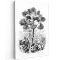 Design - Zwart wit - Natuur canvas 2cm klein -z3d