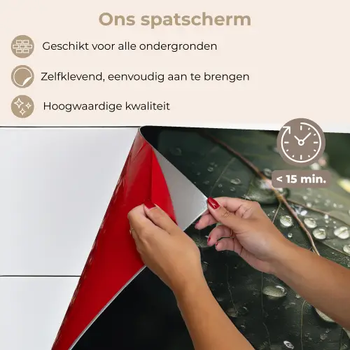 Blad - Groen - Nerven - Regendruppels keuken achterwand spatscherm klein -spatscherm_NL
