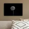 Paardenbloem - Zwart - Bloemen - Botanisch canvas 2cm klein -sfeer3