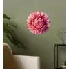 Dahlia - Bloem - Close up - Roze Wandcirkel behangsticker klein -sfeer2