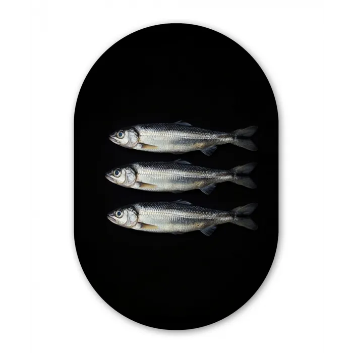 Haring - Vissen - Zwart Wandcirkel Ovaal Glas middel -3d